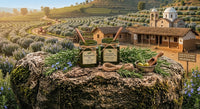 Rosemary Oil